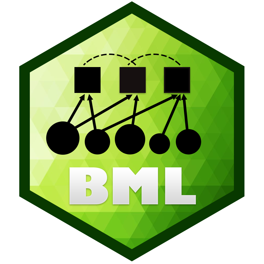 bml package hexagon logo